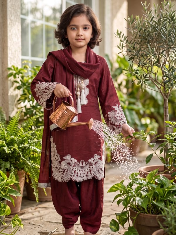 Maroon Elegance Ethnic Suit